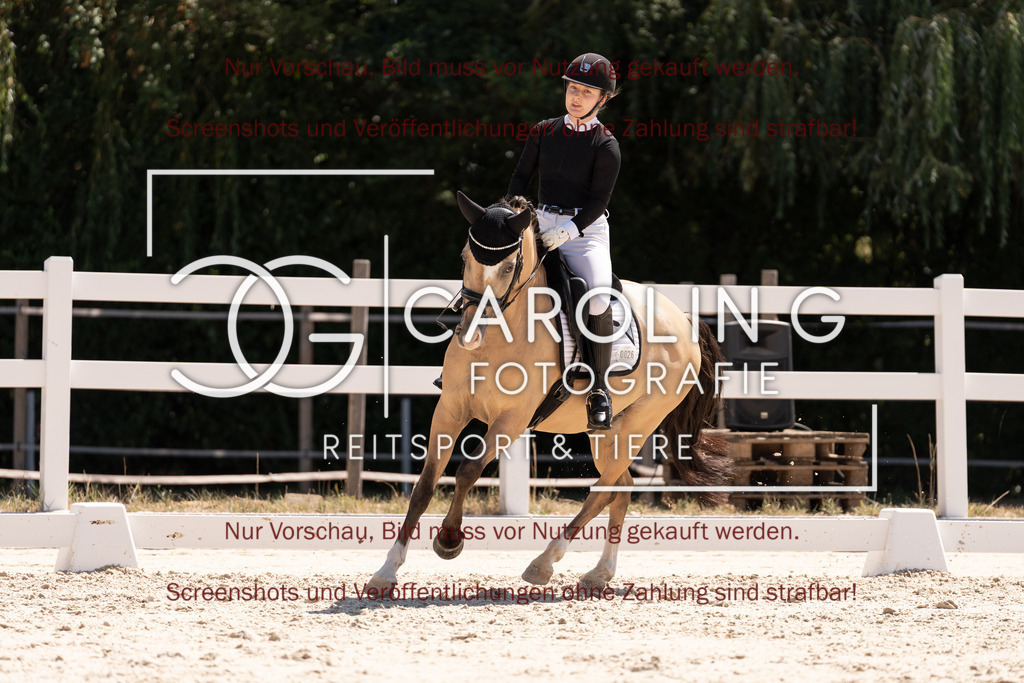 DSC05484 | Dressurturnier_Göppingen_2026, Katharina_Auletta, Maverick