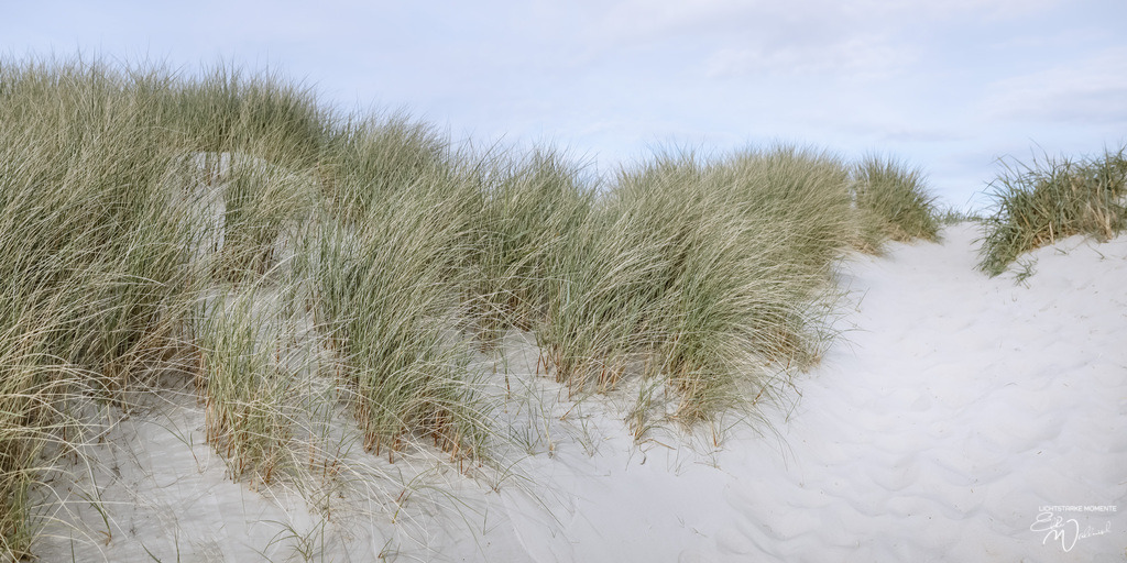 20240505-185042 NORDSEE SPO _089-1 | Herzlich willkommen auf meiner Seite! Ich bin Elke Wallnisch, Deine Fotografin für lichtstarke Momente. Der Name steht für alles, was mich mit der Fotografie verbindet: Das Licht und seine machtvolle Wirkung auf eine Situation oder unsere Stimmung - Realisiert mit Pictrs.com