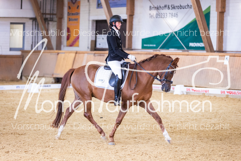 Sth-A-Dre-1St-255 | MomenTaufnahmen Pferdesportfotos