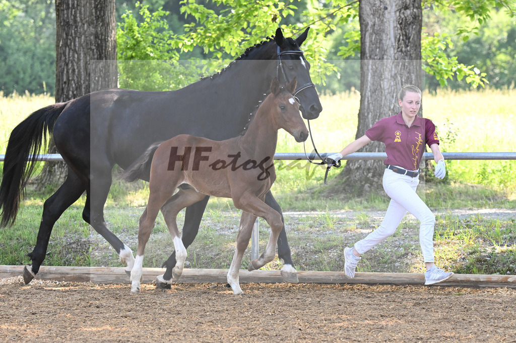 Kat-Nr. 4 HF Vitalos_Schwarz_14230114 | hf-fotografie - Realisiert mit Pictrs.com