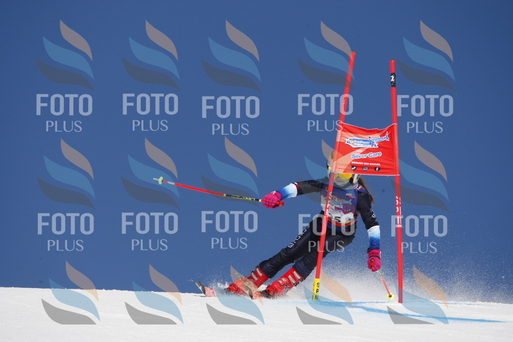 _W1G1388 | holidayphoto