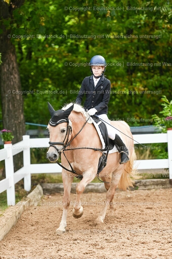 20230716_10-2_Reiter-WB Schritt - Trab - Galopp_0052 | equistock
