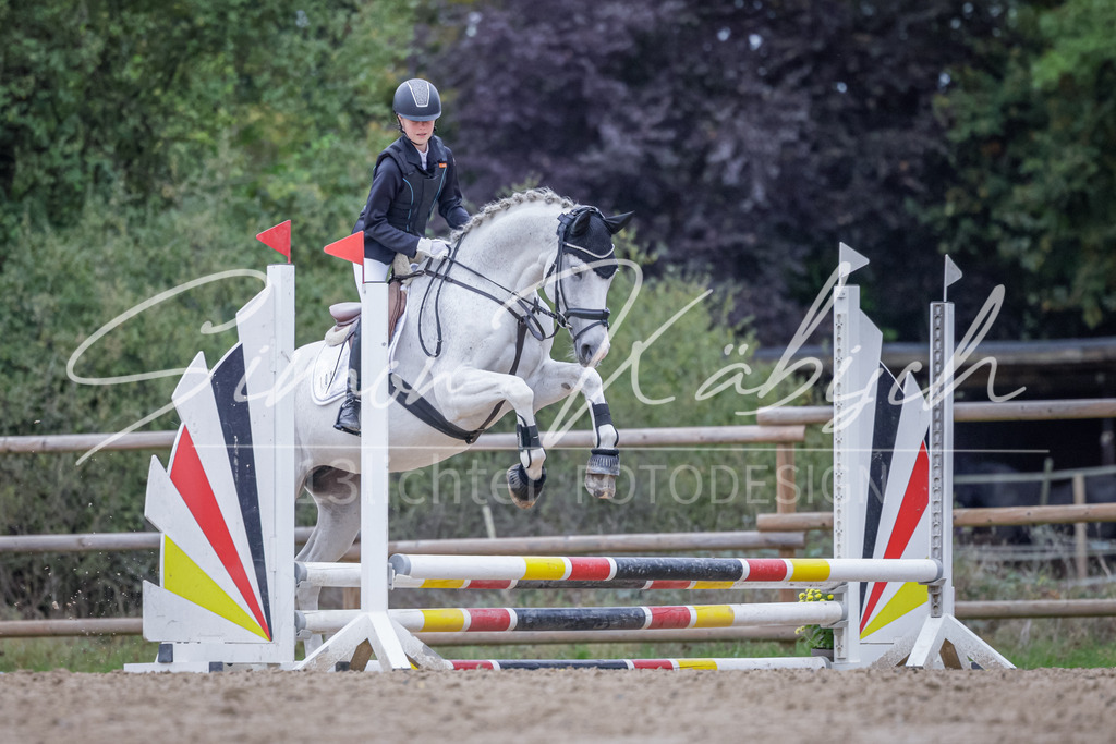 20251012-_3LI2998 | Tierfotografie Pferde, Hunde, Katzen, Haustiere.
Turnierfotografie Reitturniere, Reiten, Springreiten, Dressur in Hanau, dem Main-Kinzig-Kreis und dem Rhein-Main- Gebiet um Frankfurt