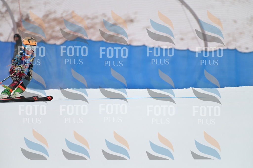 BGV_9785 | holidayphoto