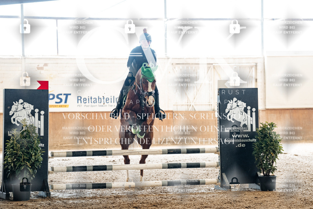 CK905442 | Turnierfotografie Pferdefotografie Trier Rheinland-Pfalz Pferdesport Reitsport Tierfotografie Sportfotografie Pferdevideo Pferdevideografie Equestrianvideography equestrianphotography  - Realisiert mit Pictrs.com
