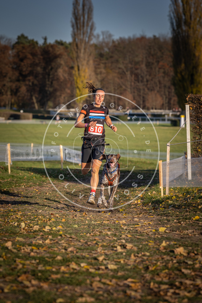 CaniXpix_DV3A3015 | Hundefotografie, Tierfotograf, Pfotenfotografie, Fotoshooting Hund, Hunde Portrait, Hundesport, Hundeportraits, Heideshooting, Hunde, Sportfotograf, Hundefotograf, Turnierhundsport, THS,  - Realisiert mit Pictrs.com
