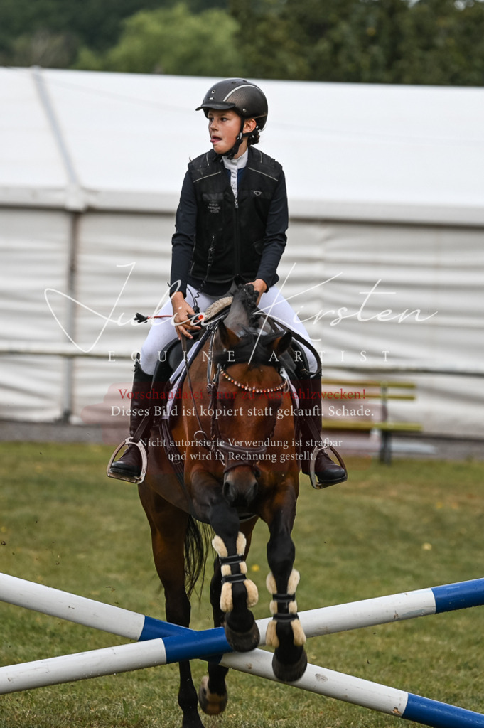 DSC_5443 | Pferde- und Turnierfotografie in Westsachsen. Pferdeportraits, Auftragszeichnungen und intuitive Kunst.