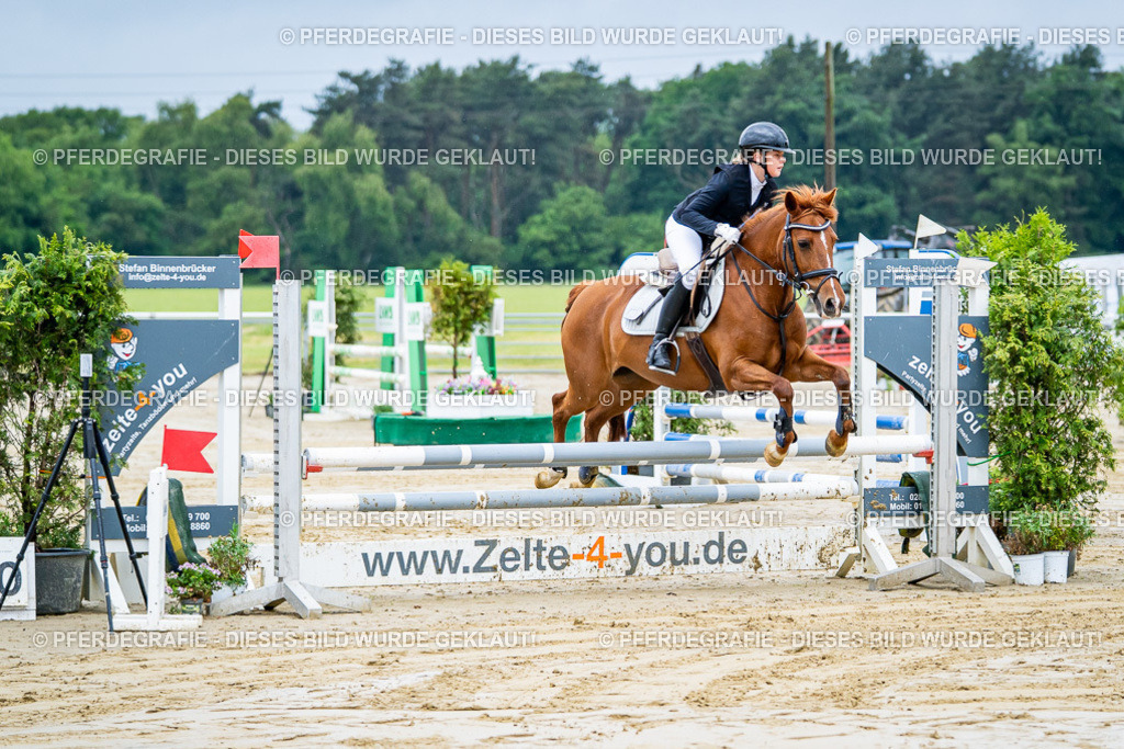 DSC01256 | Pferdegrafie