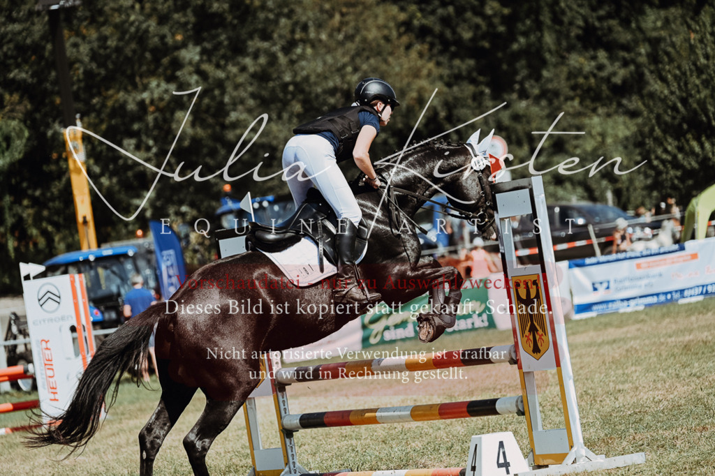 DSC_9843 | Pferde- und Turnierfotografie in Westsachsen. Pferdeportraits, Auftragszeichnungen und intuitive Kunst.