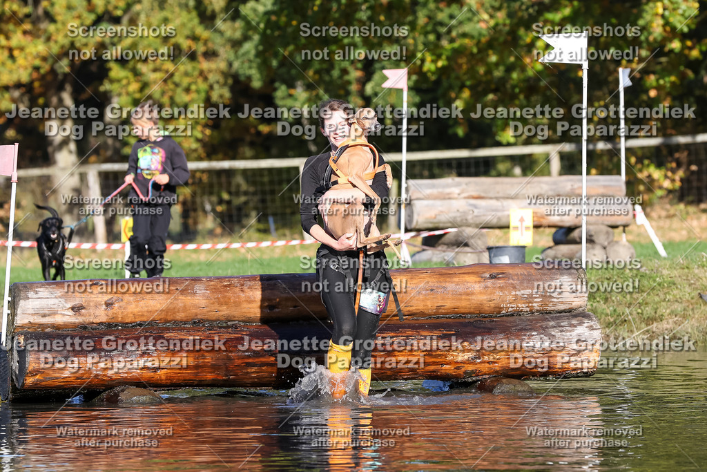 Dog Paparazzi - Strongdog 10-25-8794 | Dog Paparazzi Jeanette Grottendiek Fotografie & Videografie - Realisiert mit Pictrs.com