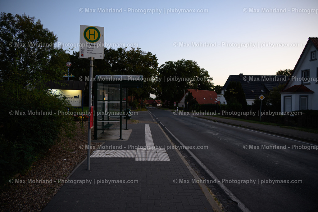 20250923-MZ6_3392 | Max Mohrland - Photography - Realisiert mit Pictrs.com