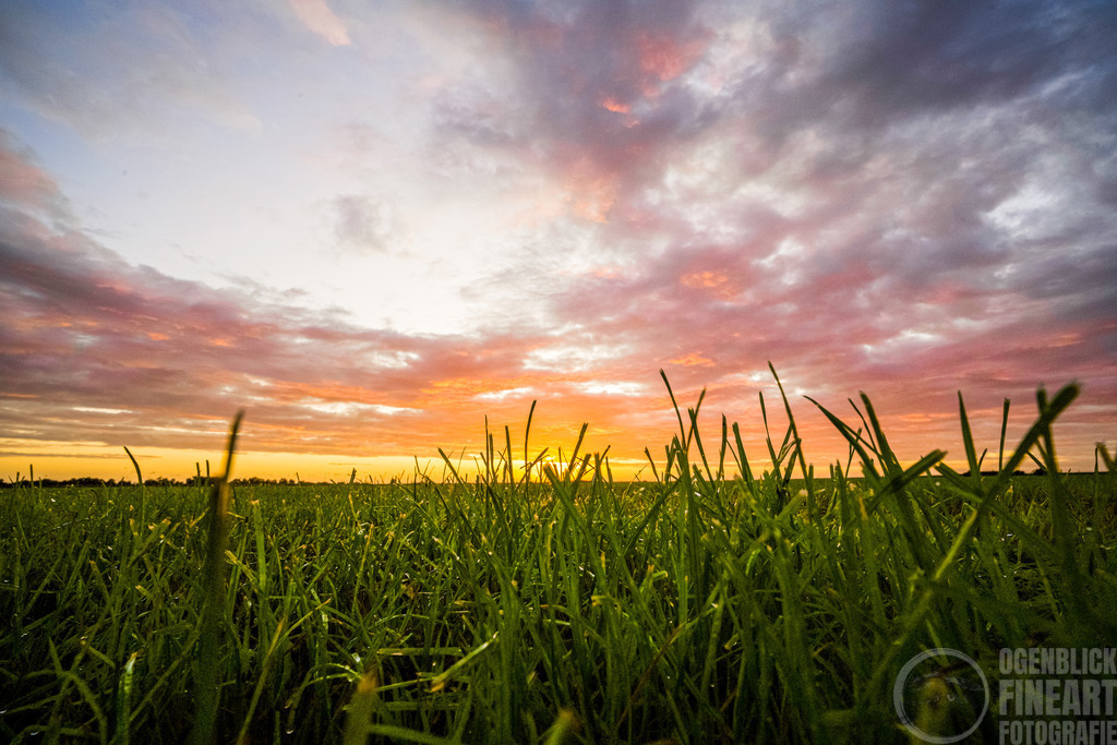_A7R2380 | Björn Thiemann; Ogenblick.de; Fotografie; Photograph; Landscape, Pellworm, Schleswig-Holstein; Inselfotograf; Inselfotografien; Wattenmeer; National-Park; Naturschutzgebiet; Leuchtturm; Lighthouse; Leinwandbilder; Kalender; Pellworm Kalender;  - Realisiert mit Pictrs.com