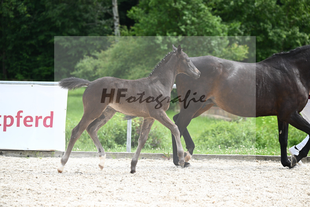 V-Power x Ray Ban_SF_Stadelmann_20240735 | hf-fotografie - Realisiert mit Pictrs.com