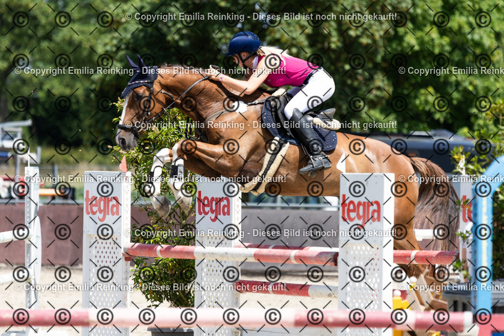 CL5A0678 | Emilia Reinking Fotografie - Realisiert mit Pictrs.com