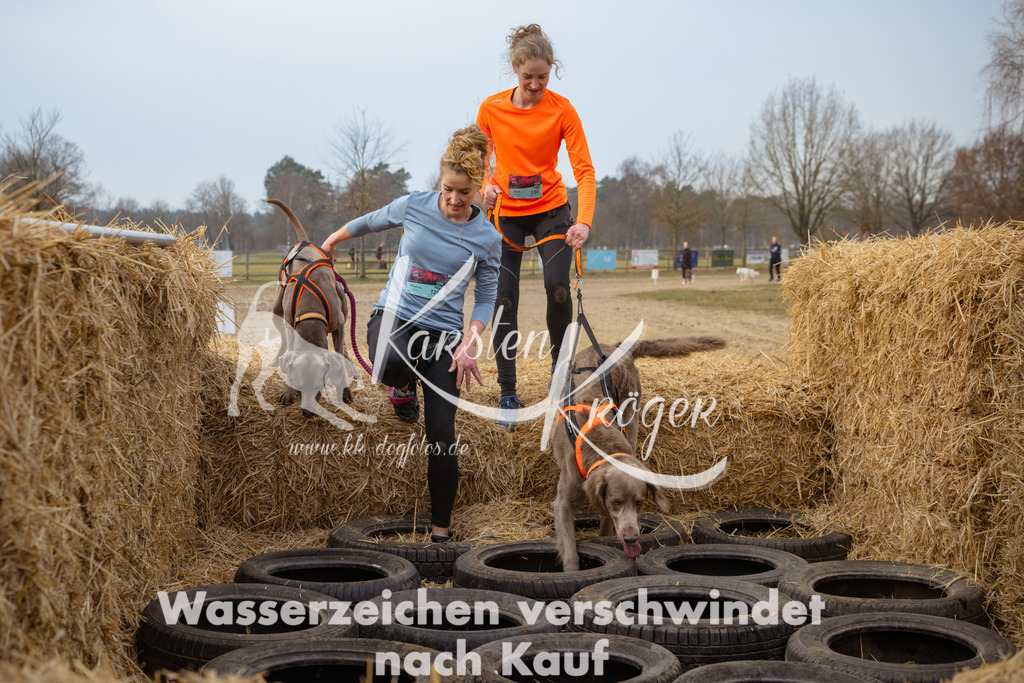 0908_ZZ96767 | kk-dogfotos