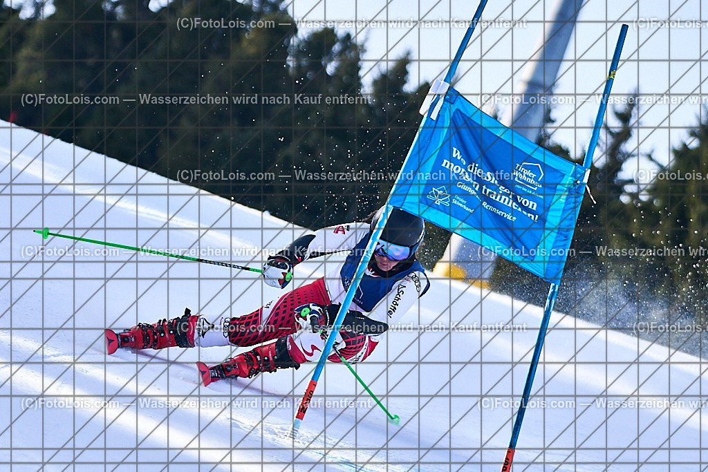 _ALP1033_FIS-Masters-GS-I_Glungezer_Bergner Doris | FIS-MASTERS-WorldCup am Glungezer, GiantSlalom-I, Sa 17. Jänner 2026.