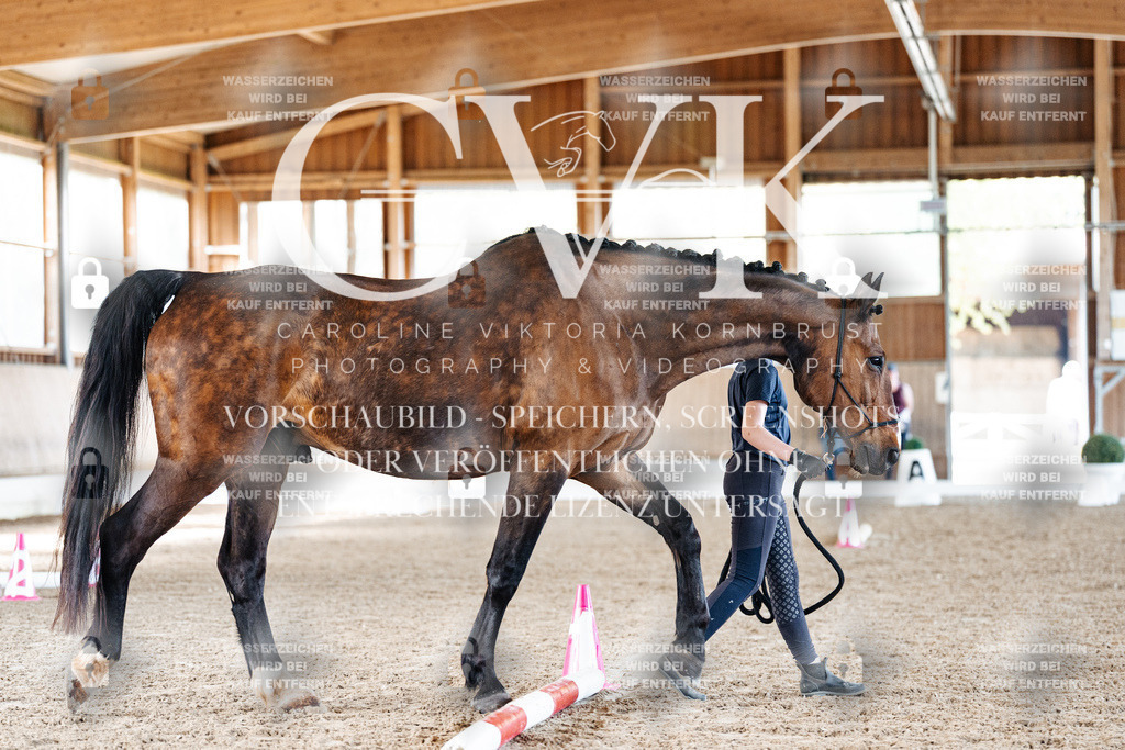 CK905755 | Turnierfotografie Pferdefotografie Trier Rheinland-Pfalz Pferdesport Reitsport Tierfotografie Sportfotografie Pferdevideo Pferdevideografie Equestrianvideography equestrianphotography  - Realisiert mit Pictrs.com