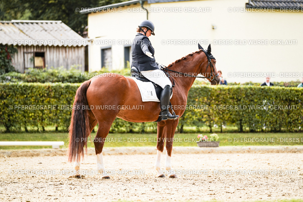 DSC01381 | Pferdegrafie