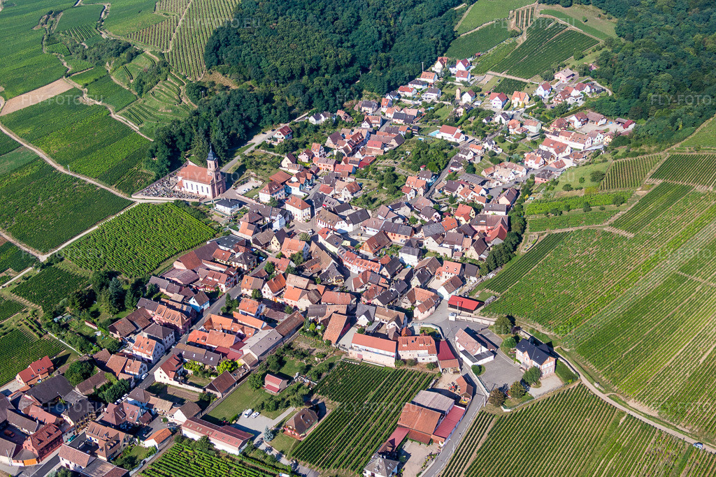 Vue aérienne: Champs agricoles et terres arables à Orschwiller dans le département Bas Rhin, France. Photo: IMG_093299.jpg prise le 16/08/2016 par Werner Riehm/FLY-FOTO.eu – Résolution de l'original: 5472 x 3648 px