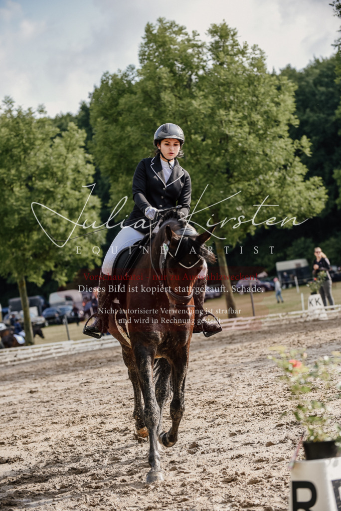 DSC_8633 | Pferde- und Turnierfotografie in Westsachsen. Pferdeportraits, Auftragszeichnungen und intuitive Kunst.