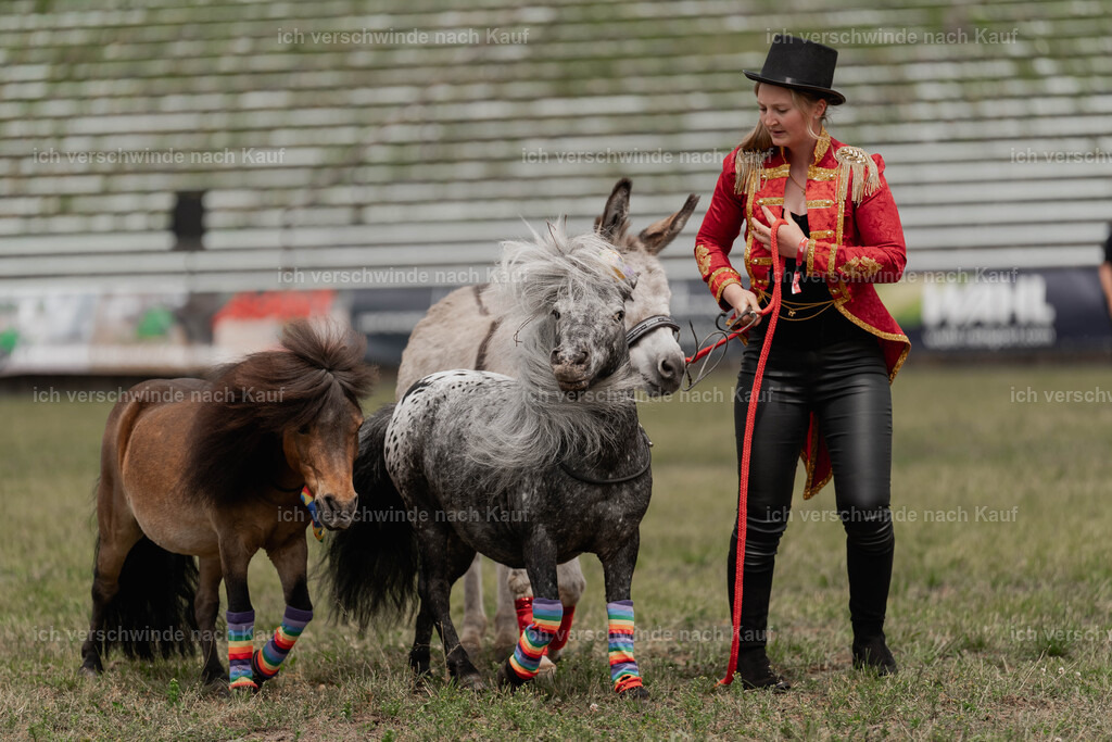 Showprogramm-256 | working equitationturnier fotograf videograf stoibphotography marixx film working equitation deutschland reitsport turnierfotografie eventfotografie equestrian events