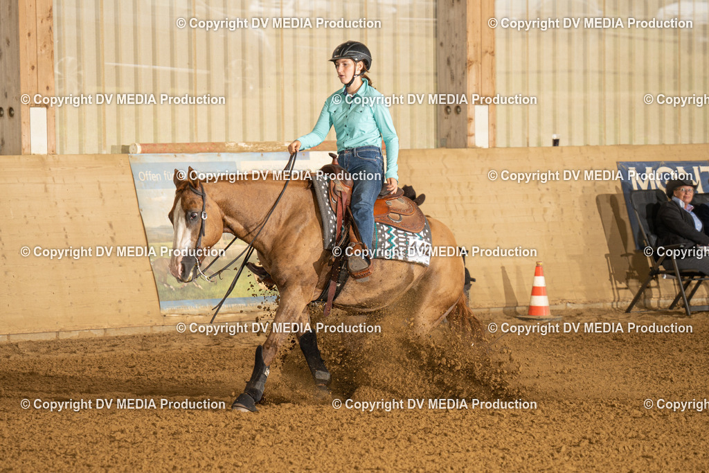 LAU00793 | dv-media-shop - Realisiert mit Pictrs.com