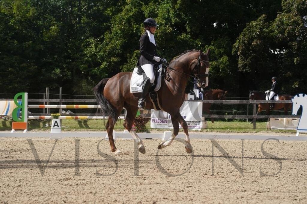 rveinoedsamstag (1366) | d.tail Visions - Shop - Realisiert mit Pictrs.com