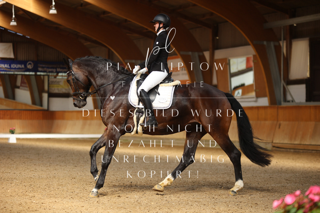 IMGM4626 | pl-fotografie