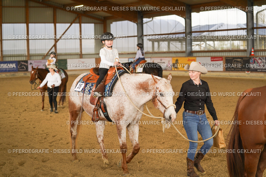 DSC01020 | Pferdegrafie