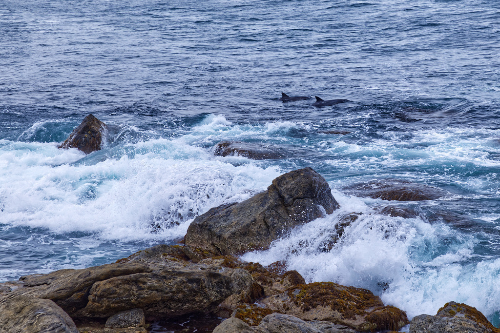 1H5A6264 | ansichtssache