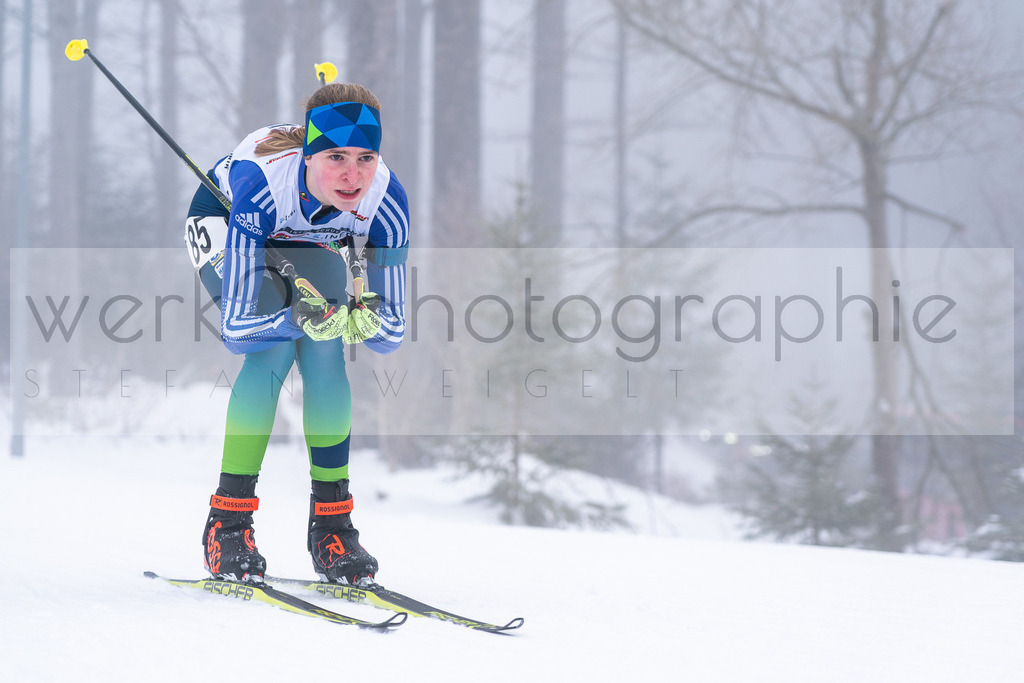 DSC Arber | Bayerischer Wald am 15. und 16. Januar 2022