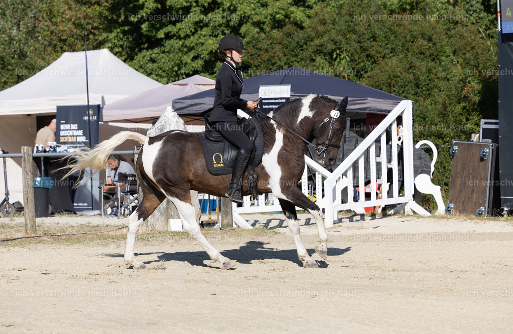 WA_Trail_115_KerstinBernhardt-19 | working equitationturnier fotograf videograf stoibphotography marixx film working equitation deutschland reitsport turnierfotografie eventfotografie equestrian events