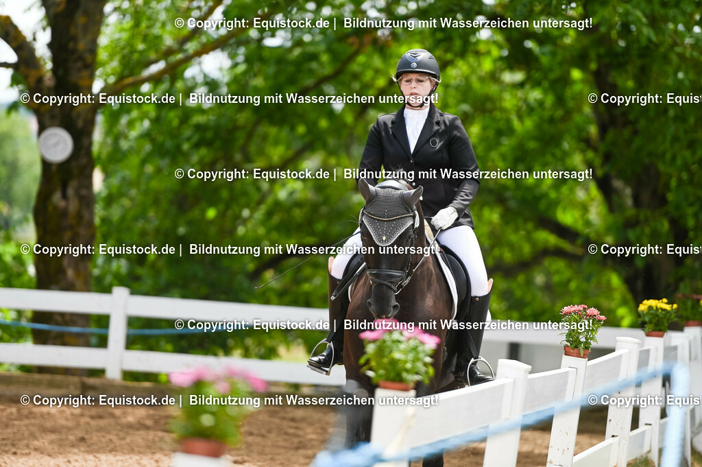 20230716_03_Dressurprfg. Kl.L - Tr._0195 | equistock