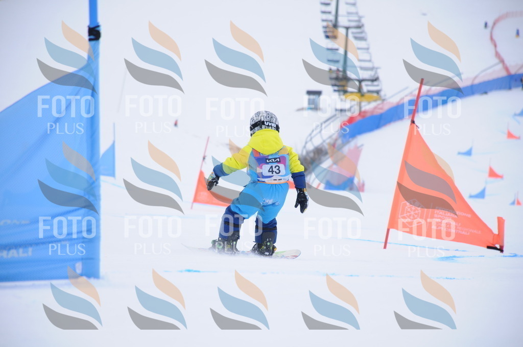 DSC_0154 | holidayphoto