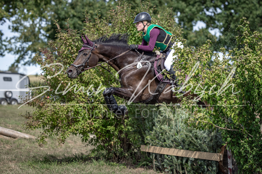 20250907-_3LI0735 | Tierfotografie Pferde, Hunde, Katzen, Haustiere.
Turnierfotografie Reitturniere, Reiten, Springreiten, Dressur in Hanau, dem Main-Kinzig-Kreis und dem Rhein-Main- Gebiet um Frankfurt