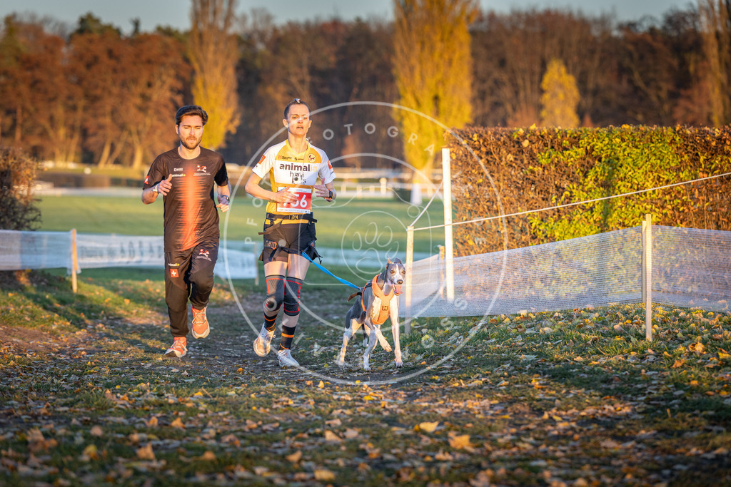 CaniXpix_DV3A5740 | Hundefotografie, Tierfotograf, Pfotenfotografie, Fotoshooting Hund, Hunde Portrait, Hundesport, Hundeportraits, Heideshooting, Hunde, Sportfotograf, Hundefotograf, Turnierhundsport, THS,  - Realisiert mit Pictrs.com