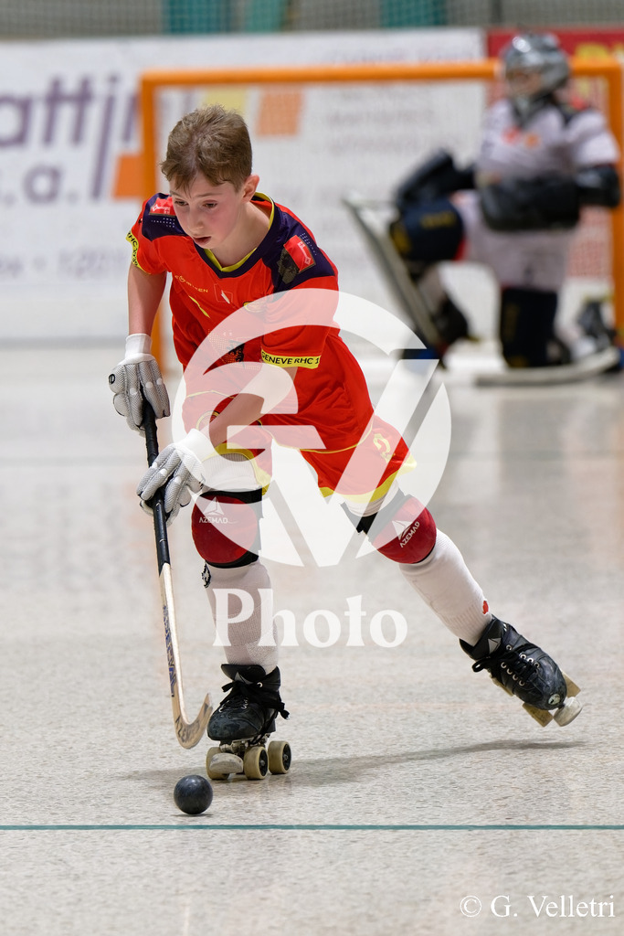 DSC_1642 | Velletri Photo