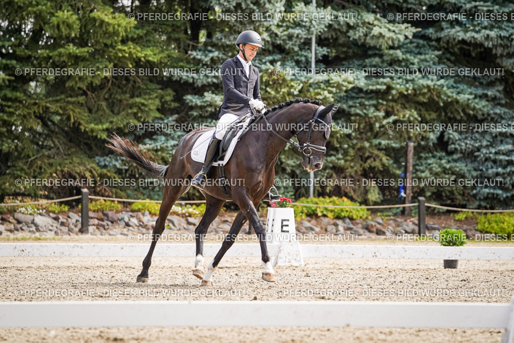 DSC00077 | Pferdegrafie