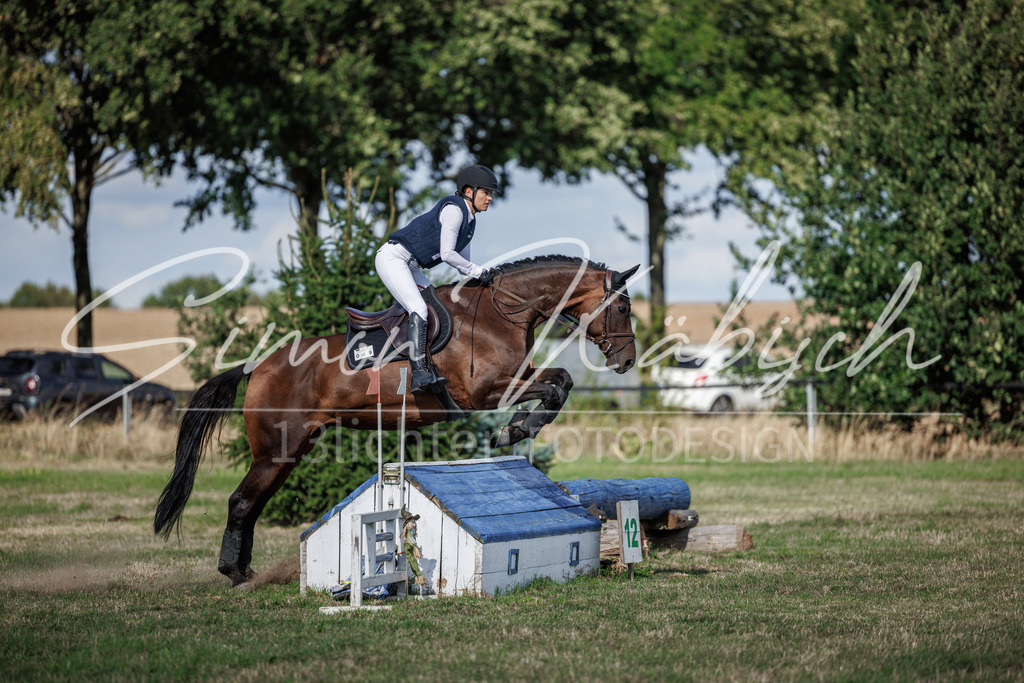 20260905-_3LI0006 | Tierfotografie Pferde, Hunde, Katzen, Haustiere.
Turnierfotografie Reitturniere, Reiten, Springreiten, Dressur in Hanau, dem Main-Kinzig-Kreis und dem Rhein-Main- Gebiet um Frankfurt