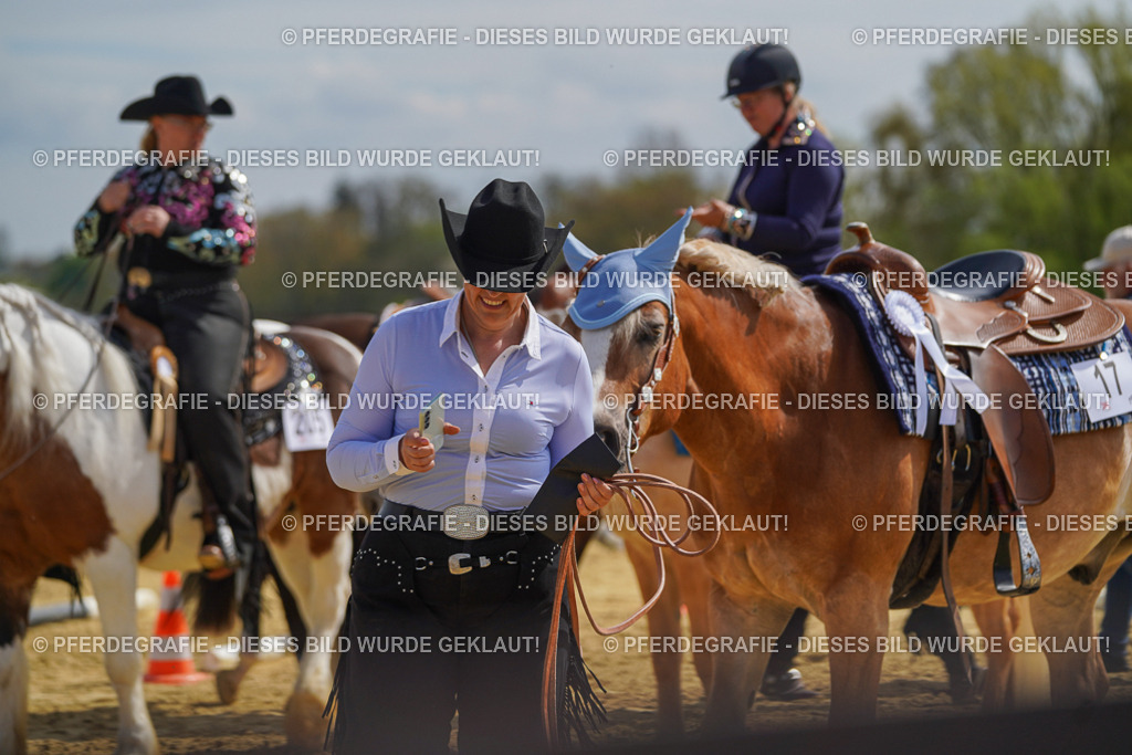 DSC04279 | Pferdegrafie