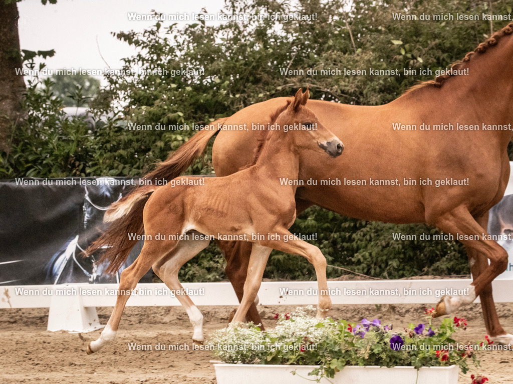 A10I4865 | photographylinaismer - Realisiert mit Pictrs.com