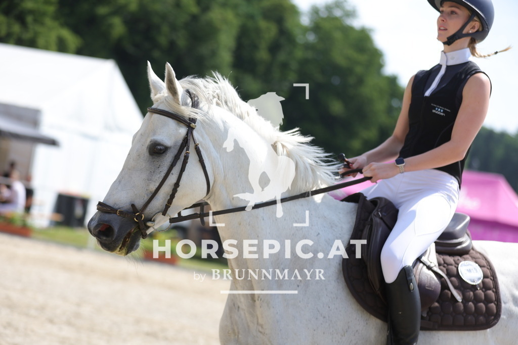 0P6A8493 | Willkommen bei Brunnmayr - Design & Fotografie – Ihrem Spezialisten für Reitturniere und Pferdeveranstaltungen in Oberösterreich, Salzburg und Bayern! Seit über 17 Jahren sind wir leidenschaftlich dabei.