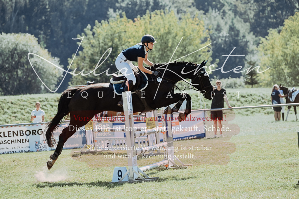 DSC_5999 | Pferde- und Turnierfotografie in Westsachsen. Pferdeportraits, Auftragszeichnungen und intuitive Kunst.