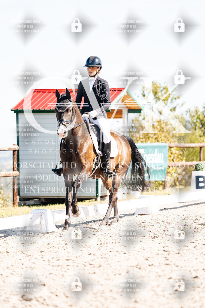 CK909088 | Turnierfotografie Pferdefotografie Trier Rheinland-Pfalz Pferdesport Reitsport Tierfotografie Sportfotografie Pferdevideo Pferdevideografie Equestrianvideography equestrianphotography  - Realisiert mit Pictrs.com