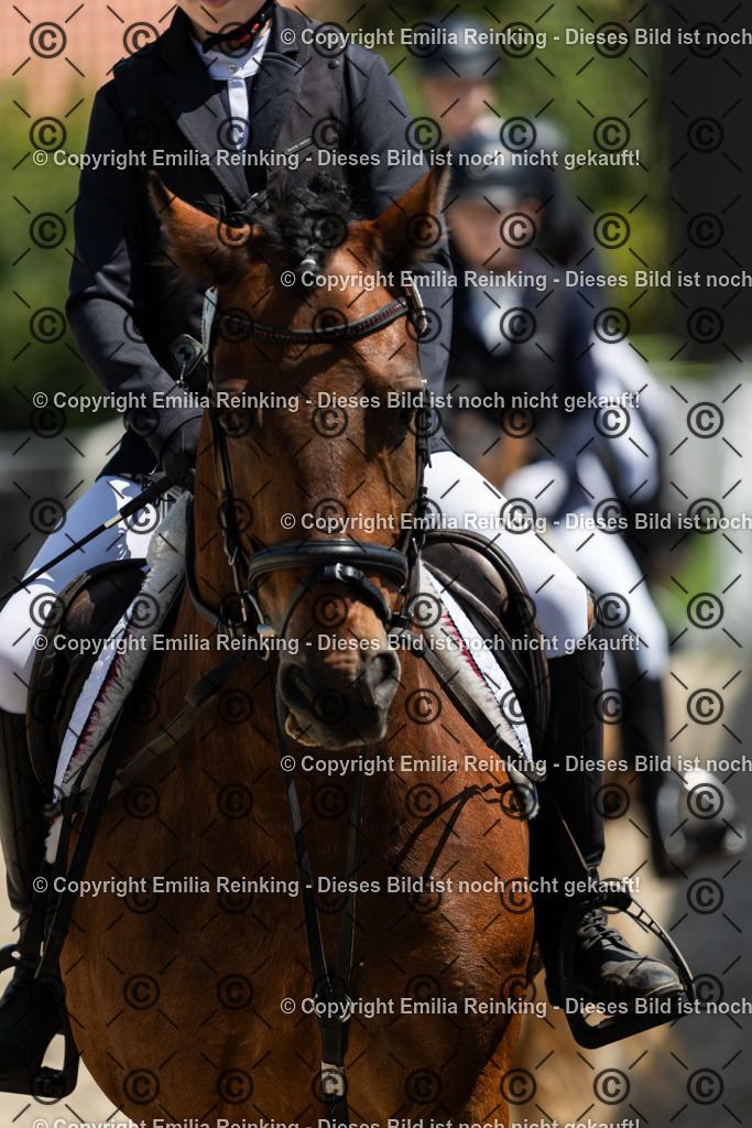 CL5A3457 | Emilia Reinking Fotografie - Realisiert mit Pictrs.com