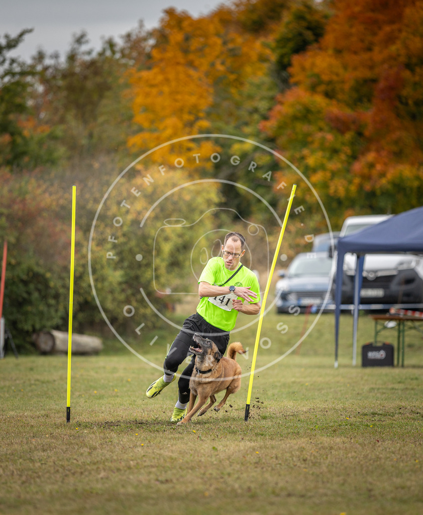 Pfotenfotografie_DV3A8102 | Hundefotografie, Tierfotograf, Pfotenfotografie, Fotoshooting Hund, Hunde Portrait, Hundesport, Hundeportraits, Heideshooting, Hunde, Sportfotograf, Hundefotograf, Turnierhundsport, THS,  - Realisiert mit Pictrs.com