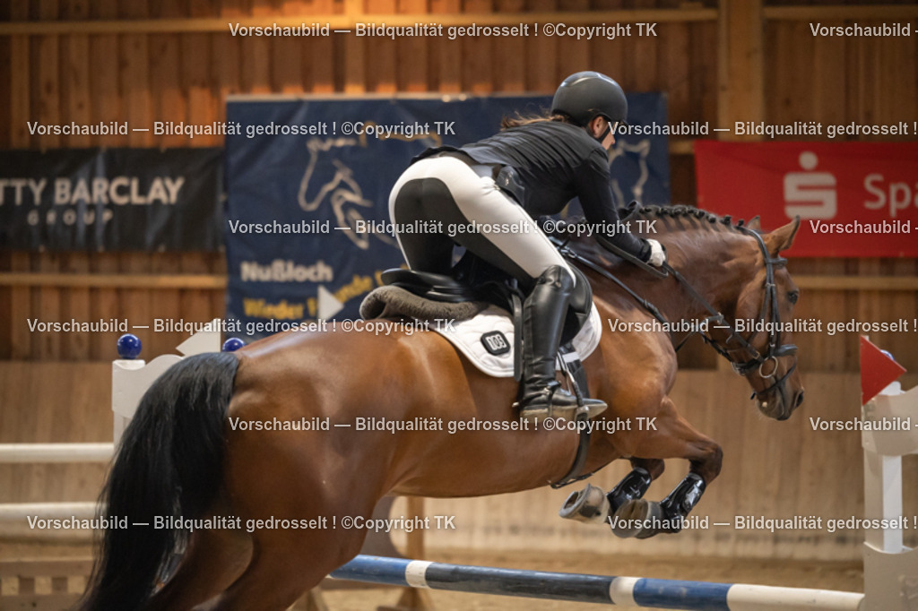 _D5A8395 | Emotionale Pferde- & People-Fotografie rund um Heidelberg, Leimen & Umgebung. Natürliche Fotos von Pferd, Mensch & Familie. Jetzt Termin sichern!