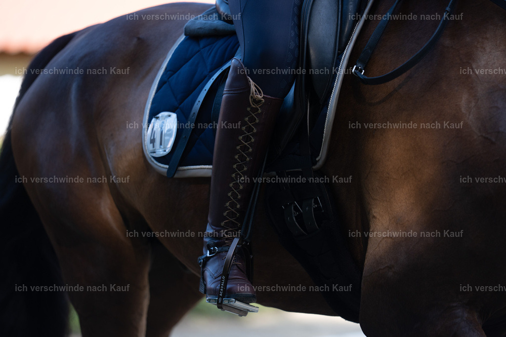 WL_DR_41_sinafilmart_IN06172 | working equitationturnier fotograf videograf stoibphotography marixx film working equitation deutschland reitsport turnierfotografie eventfotografie equestrian events
