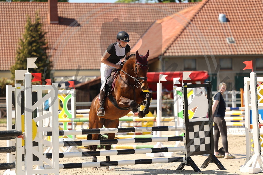 994A5809 | sabrinanicolaifotografie - Realisiert mit Pictrs.com