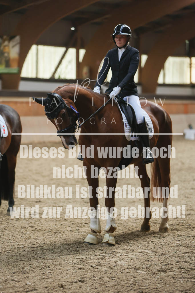 IMGS1186 | pl-fotografie